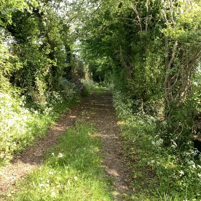 Chemin accueil contact